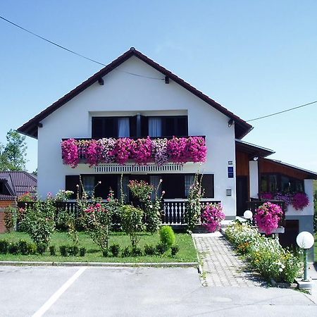 Guest House Boric Grabovac  Esterno foto