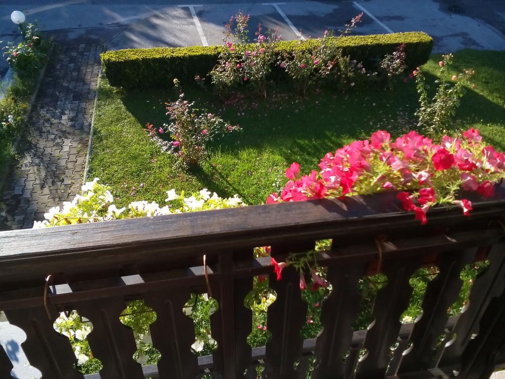 Guest House Boric Grabovac  Esterno foto